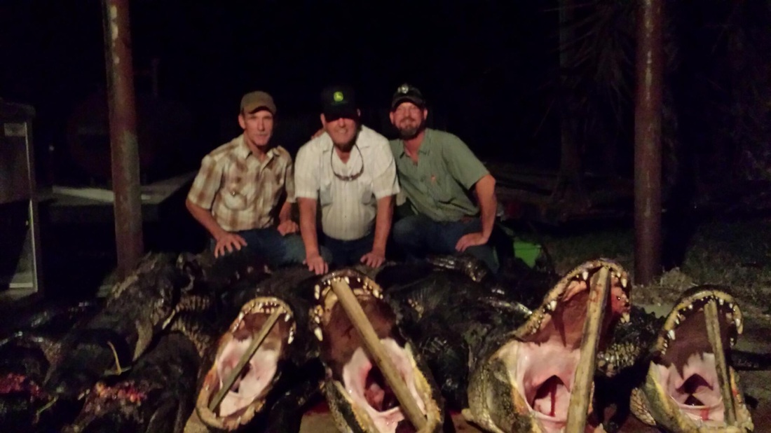 Let Casey Ward & Big 'O' Help You Hunt a Monster Gator in Florida!
