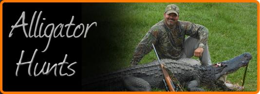 Guided Alligator Hunting - Florida's Big 'O' Hunts